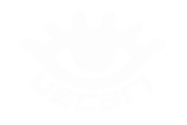 UECARI